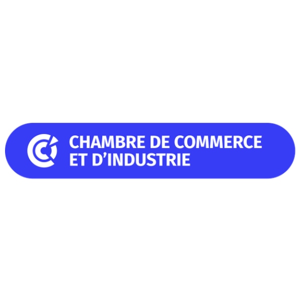 Logo CCI France